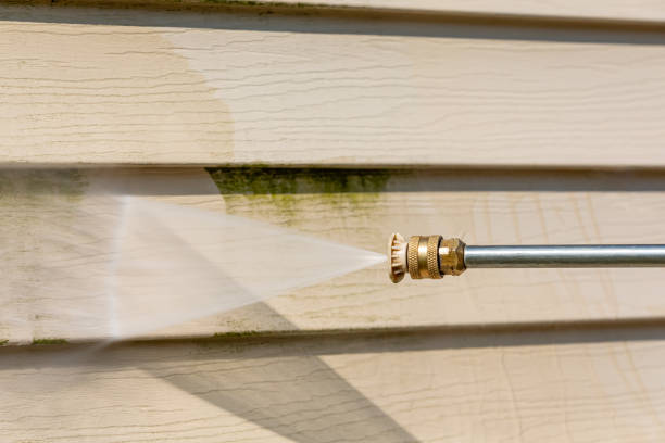 Best Pressure Washing Driveway  in Fairwood, MD
